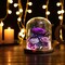 Flowers for Delivery Preserved Rose Gifts for Women,Long-Lasting Forever Flowers in Glass Dome, Birthday Gifts for Women Mom Friend(Purple Rose)